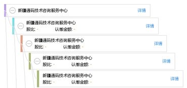 新疆通碼技術(shù)咨詢服務(wù)中心 技術(shù)咨詢助力數(shù)字化發(fā)展